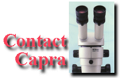Contact Capra